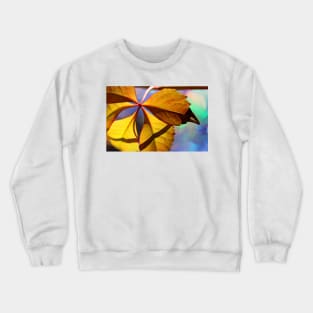 In The Mood For Some Colour Crewneck Sweatshirt